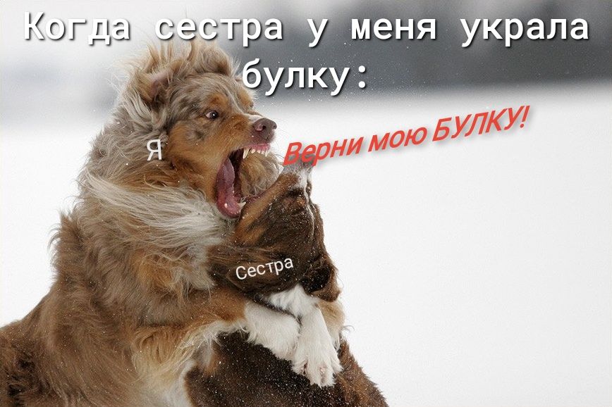 Меня украла