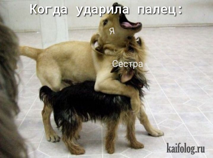 палец Когда ударллг Ъайоіод ш