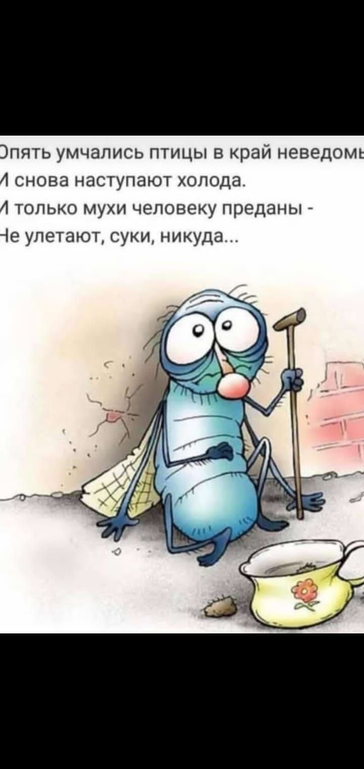 Эпять умчапись птицы в край неведом 4 Снова НЗСТУПЭЮТ ХОЛОДЭ А только мухи человеку преданы іе улетают суки никуда