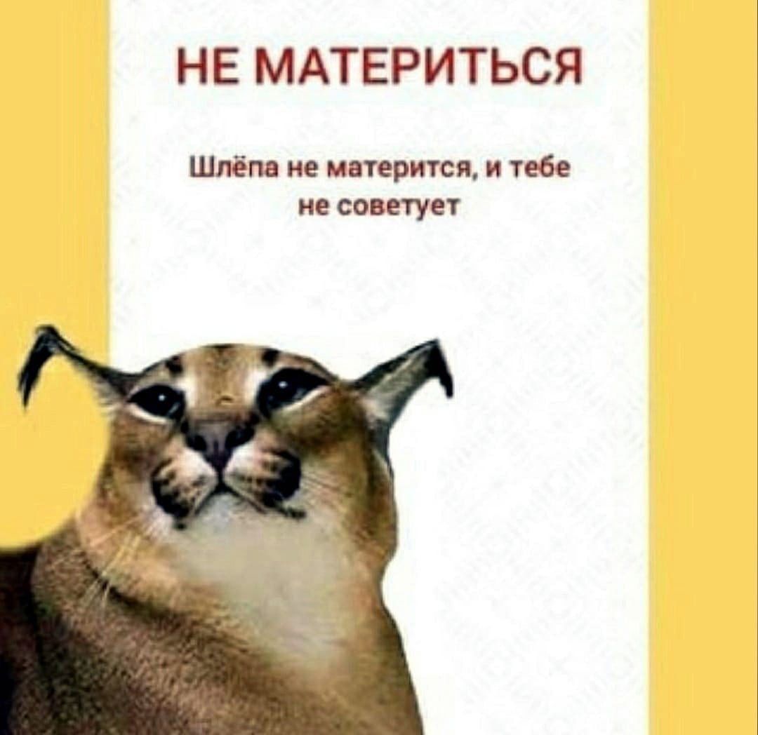 НЕ МАТЕРИТЬСЯ Шлёпа не матерится и тебе не советует