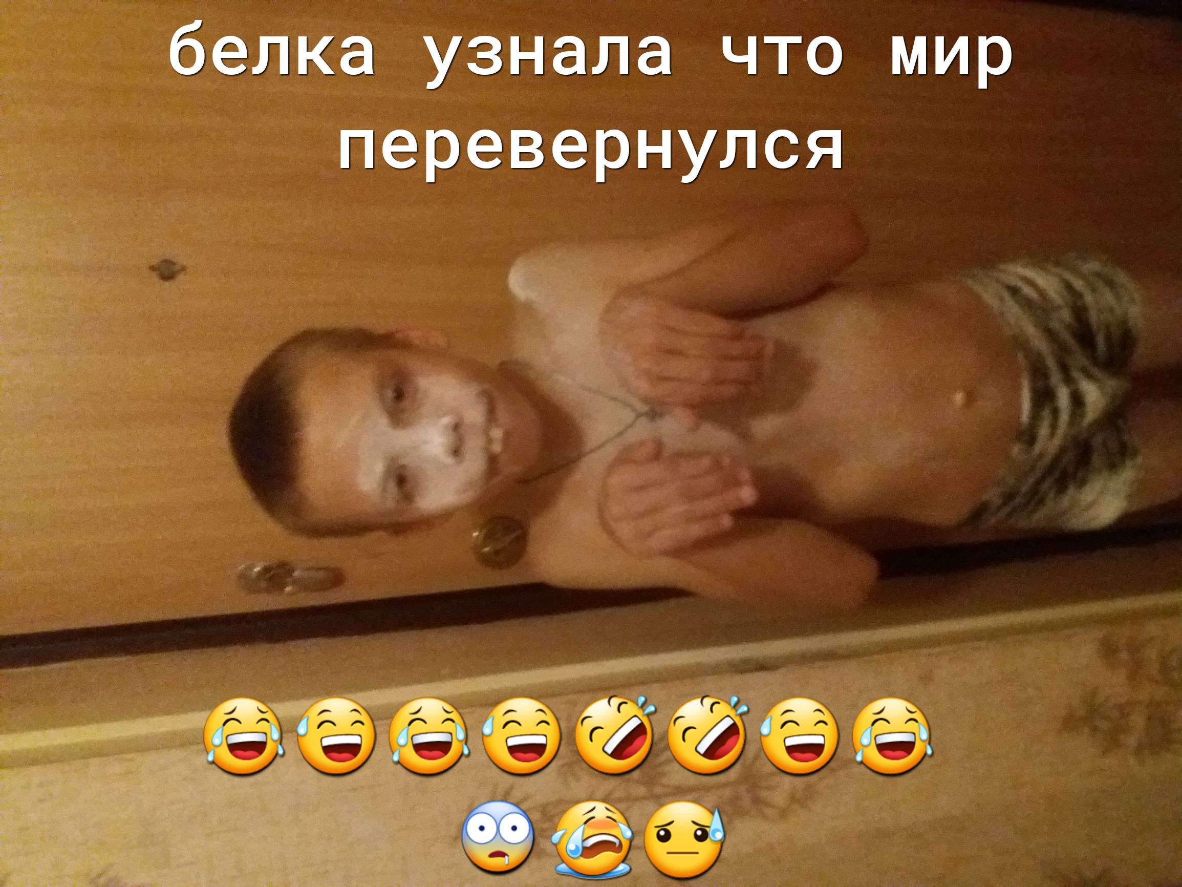 белка узнала что мир перевернулся _ _ _ _ _ _