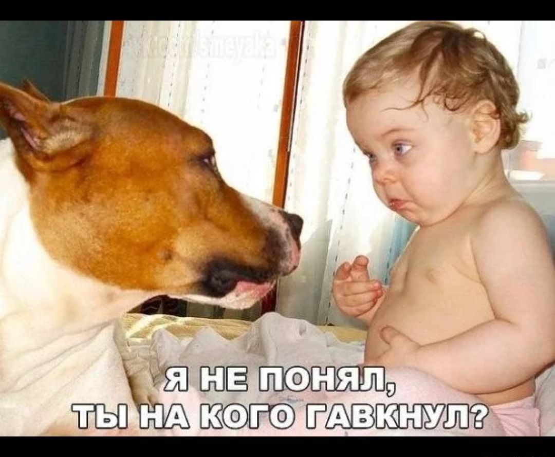 понял Х 9 ЁАЩЗЮЁУШЁ