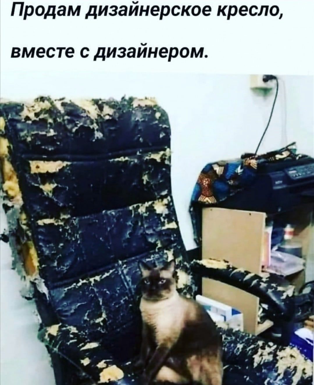 Продам дизайнерское кресло ВМЕСТЕ С ДИЗЗЙНЭРОМ