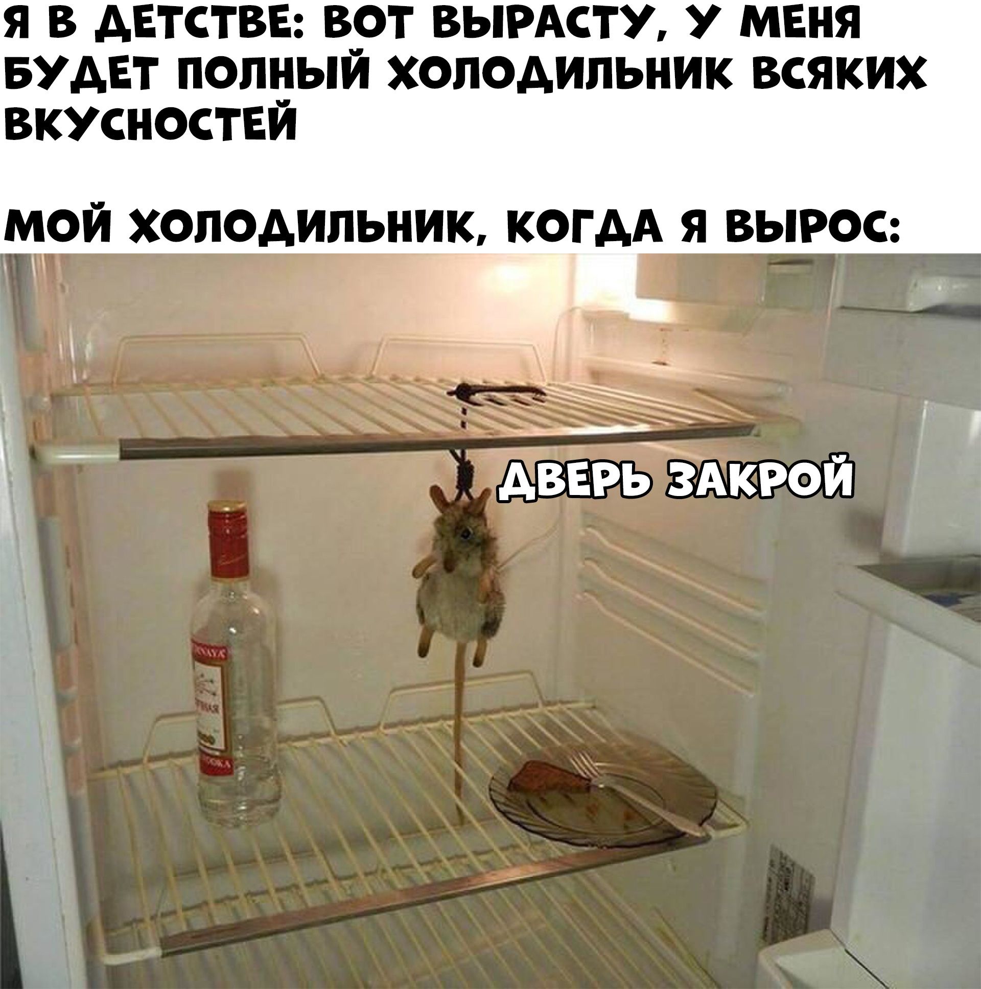 Я В АЕТСТВЕ ВОТ ВЫРАСТУ У МЕНЯ БУДЕТ попный холодильник всяких вкусностей мой холодильник КОГАА я вырос _ У _ _ __ і _ г_ _ 1 д _ ЕвёрьЁАкрой ЁЁ