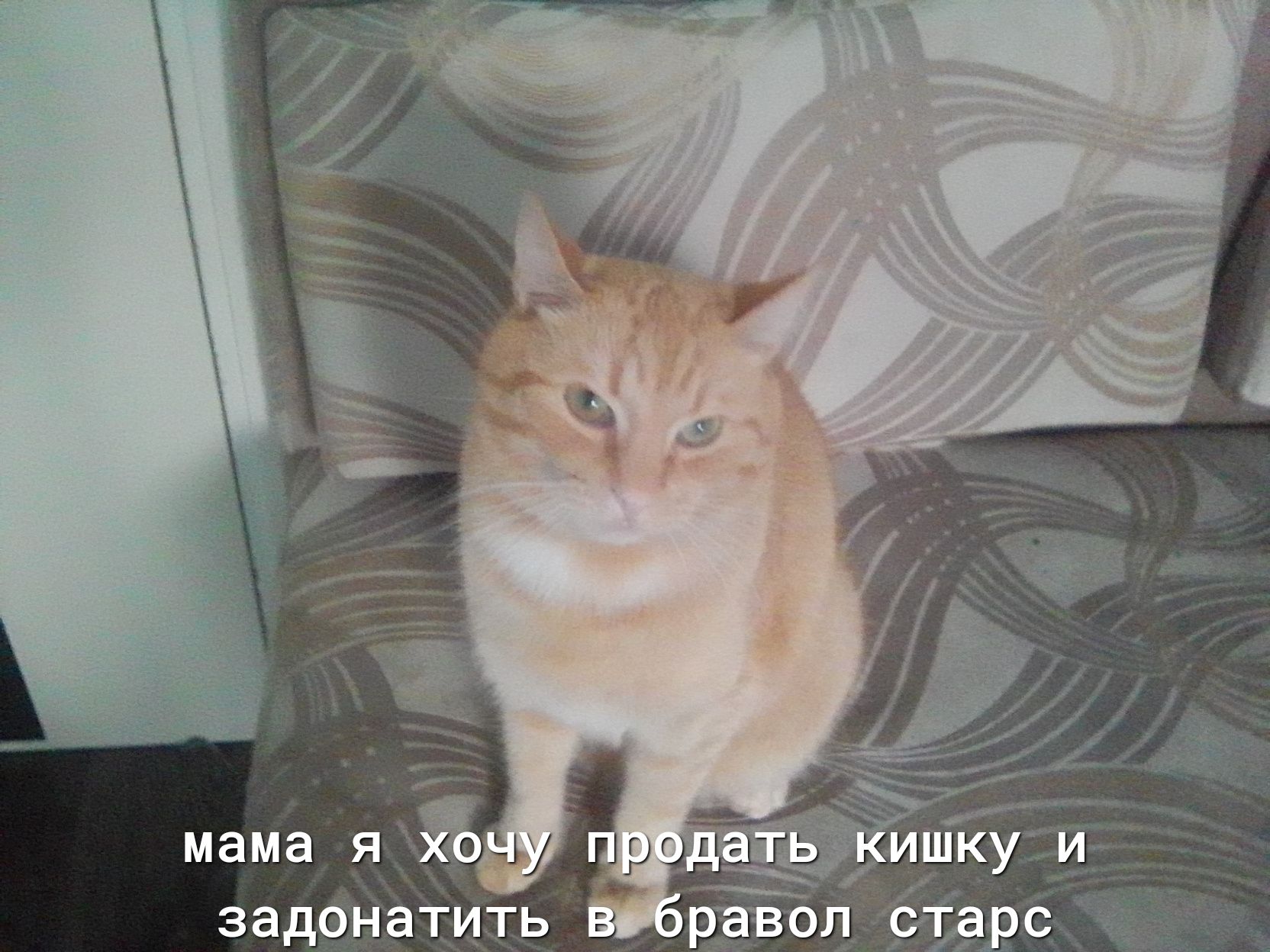 мама я ны Щл задонатить горав0л старс