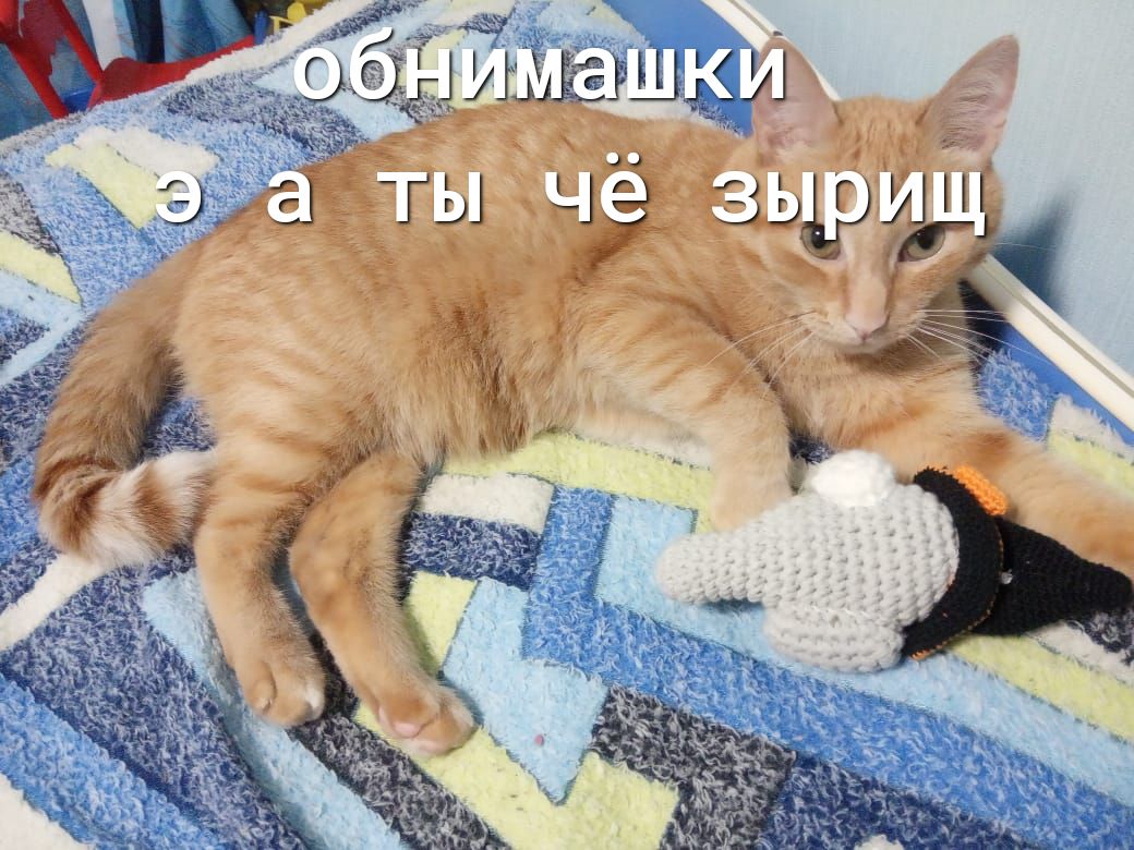 7 а ты чё зьдмддг го '4