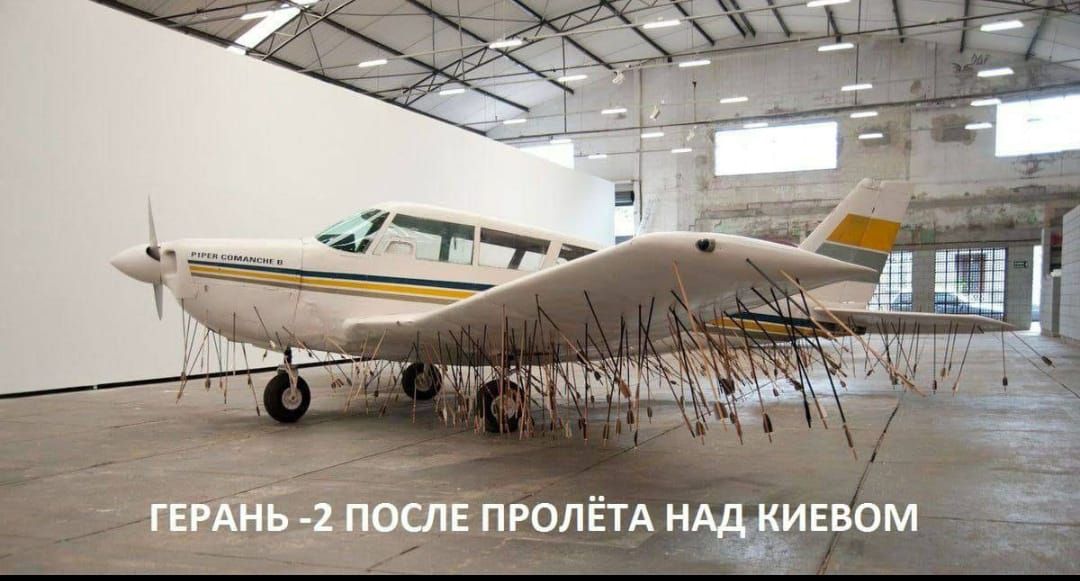 дош ПРОЛЁТА ндд кигвом