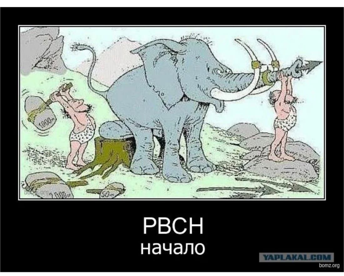 РВЧН начало