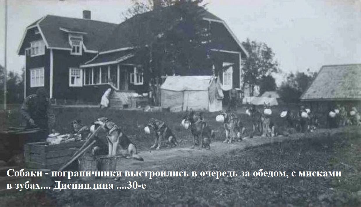 СпГыки _ прс шире и иипшми г Диспип дн