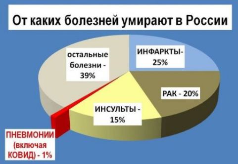 От каких болезней умирают в России анальные ИНФАРктьь Биледни 15 39 инсульты 15 ПНЕВМОНИИ включая КОВИД 1