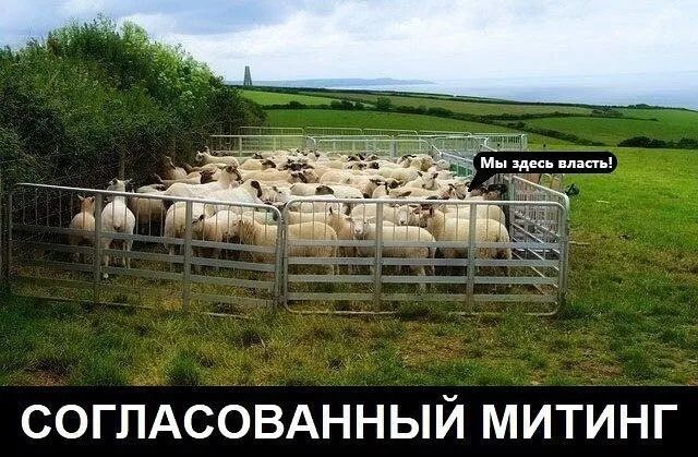 СОГЛАСОВАННЫЙ МИТИНГ