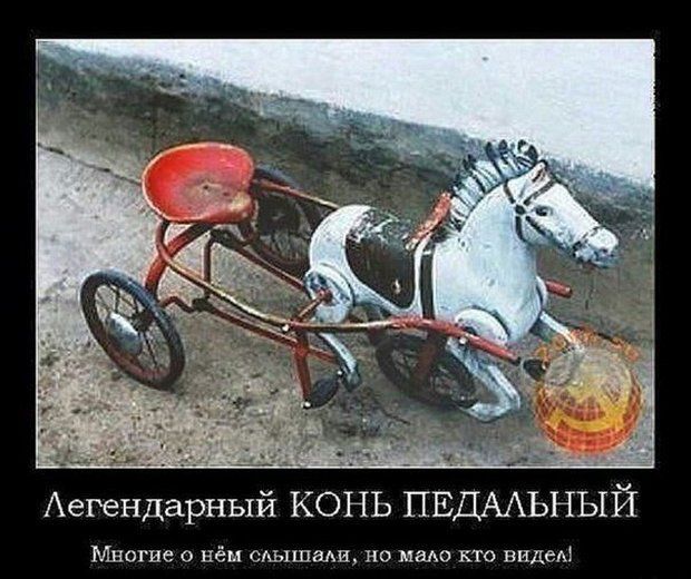 Аегендарный конь ПЕДААЬНЫЙ Многие нём мышахи но надо то видам