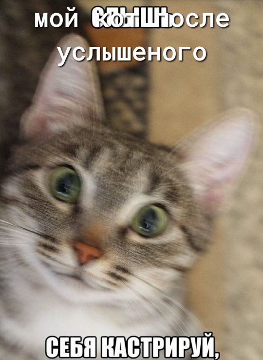 мой сле 12 ЮГЕ