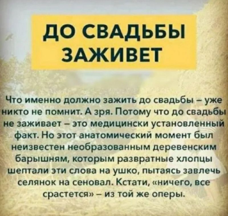 а ДО СВАДЬБЫ ЗАЖИВЕТ Что именно должно зажить до свадьбы уже икто не помнит А зря Потому что до свадь заживает это медицински установленны факт Но этот анатомический момент был неизвестен необразованным деревенским Е барышням которым развратные хлопцы _ шептали эти слова на ушко пытаясь завлечь селянок на сеновап Кстати ничего все ь срастется из той же оперы