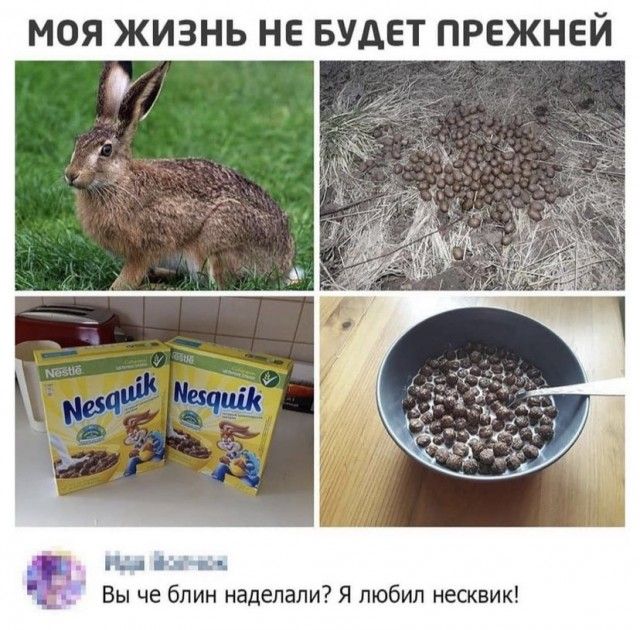 МОЯ ЖИЗНЬ НЕ БУДЕТ ПРЕЖНЕЙ Вы че блин наделали Я любил несквик