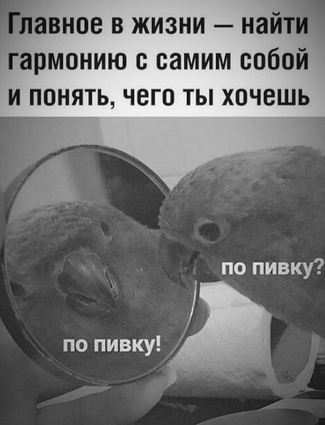 авное в жизни найт гармонию самим собой и понять чего ты хочешь