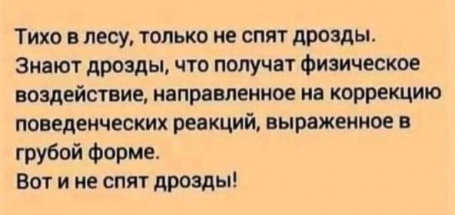 Тихо в лесу только не спят дрозды Знают дрозды что получат физическое воздействие направленное на коррекцию поведенческих реакций выраженное в грубой форме Вот и не спят дрозды