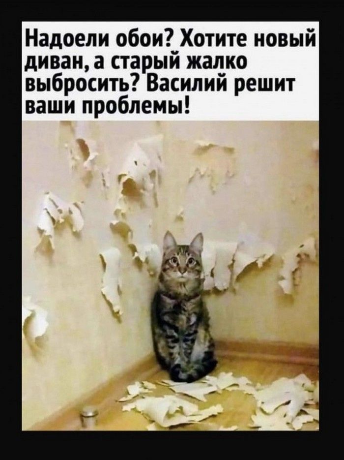 Надоели обои Хотите новый диван а старый жалко выбросить Василий решит ваши проблемы