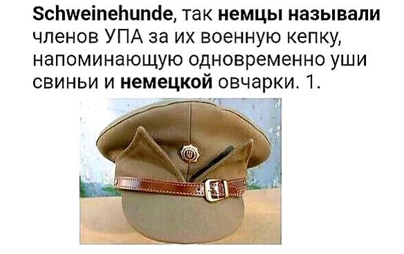 8сЬшеіпеЬипйе так немцы называли членов УПА за их военную кепку напоминающую одновременно уши СВИНЬИ И немецкой овчарки 1 _