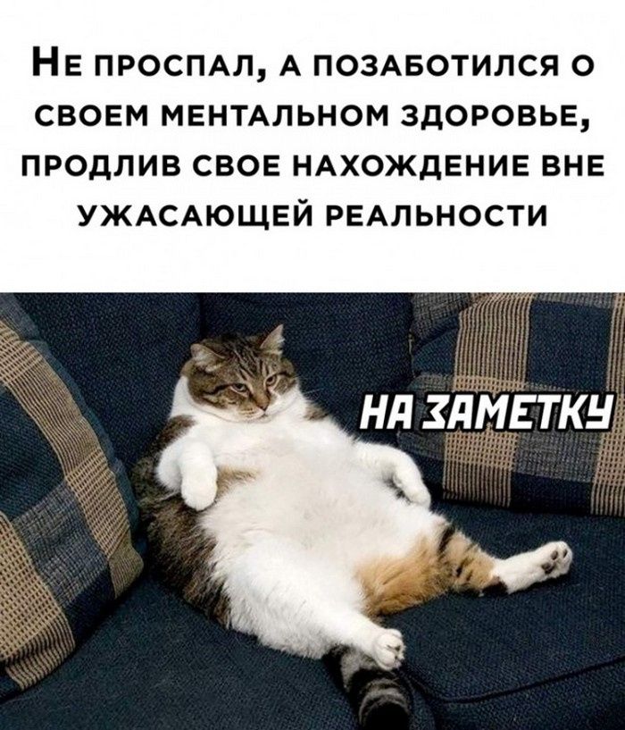 НЕ ПРОСПАЛ А ПОЗАБОТИЛСЯ О СВОЕМ МЕНТАЛЬНОМ ЗДОРОВЬЕ ПРОДПИВ СВОЕ НАХОЖдЕНИЕ ВНЕ УЖАСАЮЩЕЙ РЕАЛЬНОСТИ Нд ЗЛМЕТКН т