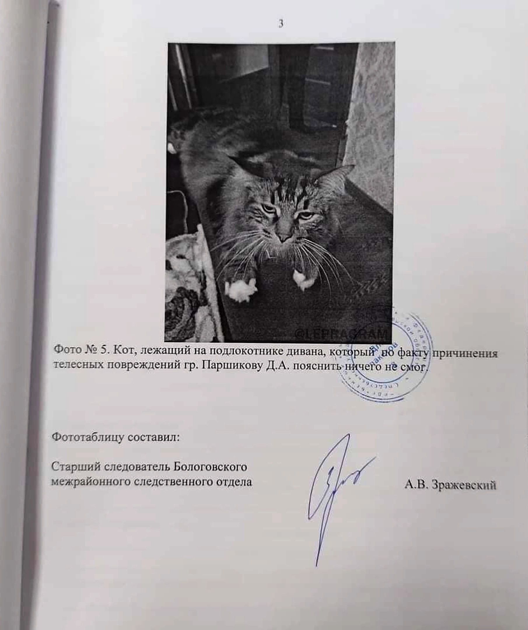 к ъ пшюр затчим мк п Фшошбшч Ьшшишскмп и м