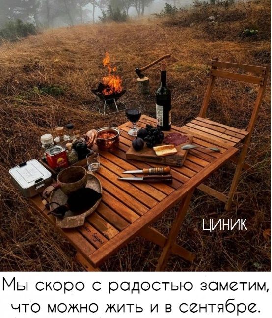 ЦИНИК Мы скоро с радостью зометим что можно жить и в сентябре