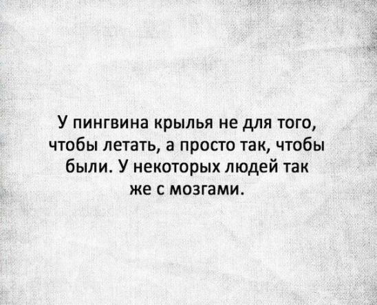 У пингвина крылья не для того чтобы летать в просто так чтобы были У некоторых людей так же с мозгами