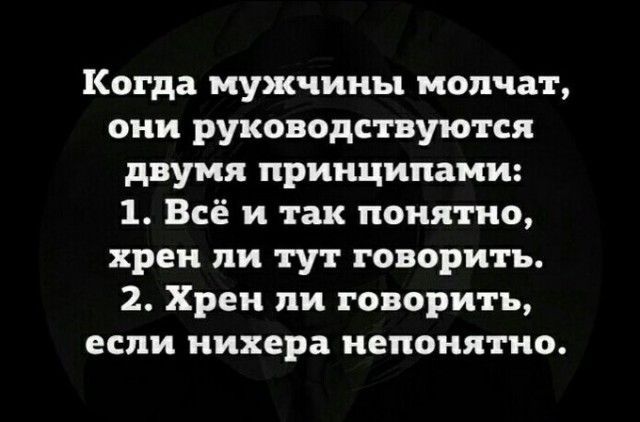 Когда мужчины молчат они руководствуются двумя принципами 1 Всё и так понятно хрен ли тут говорить 2 Хрен ли говорить если нихера непонятно