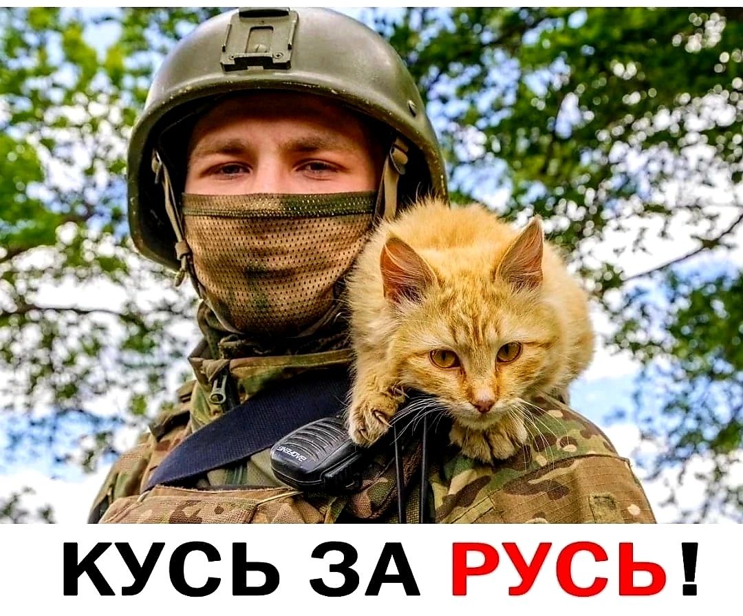 куёь ЗА