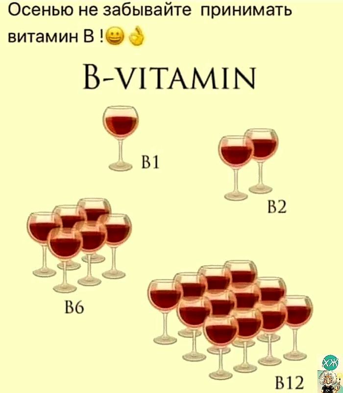 Осенью не забывайте принимать витамин В 0 В ИТАМПЧ