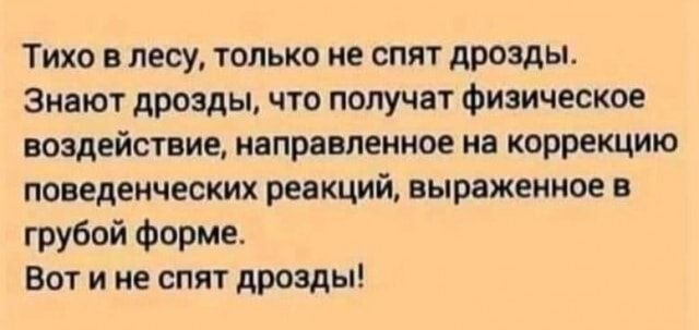 Тихо в лесу только не спят дрозды Знают дрозды что получат Физическое воздействие направленное на коррекцию поведенческих реакций выраженное в грубой Форме Вот и не спят дрозды