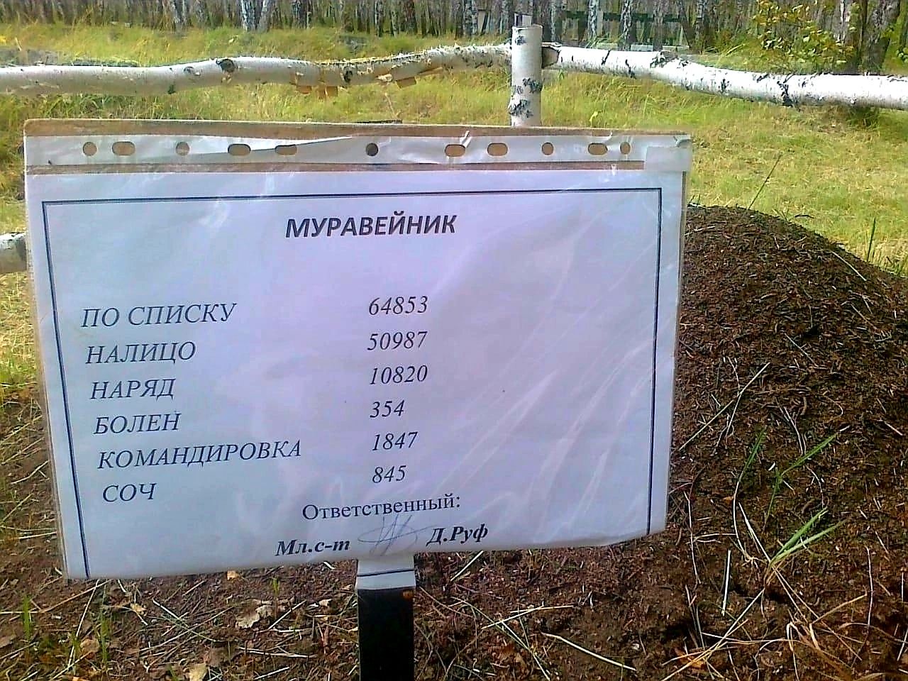 т к шим иуь 7 5 Очишсьпвппцп м н чицс 1 РШ нн имтЦыган
