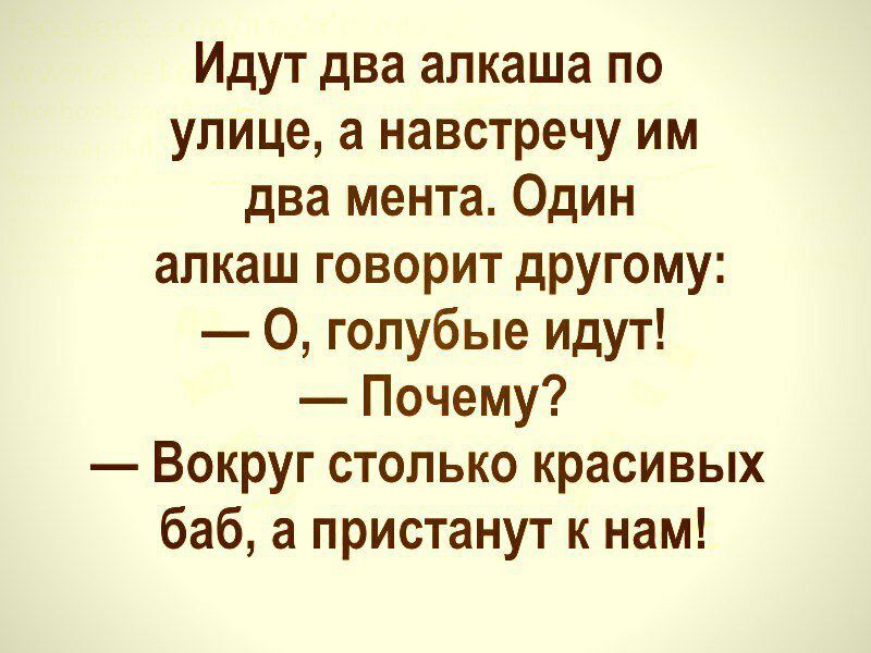 Идут два апкаша по улице а навстречу им два мента Один алкаш говорит другому О голубые идут Почему Вокруг столько красивых баб а пристанут к нам
