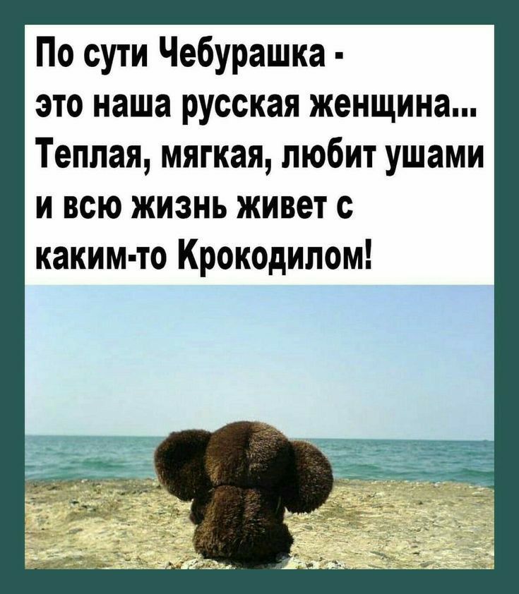По сути Чебурашка это наша русская женщина Теплая мягкая любит ушами и всю жизнь живет с каким то Крокодилом