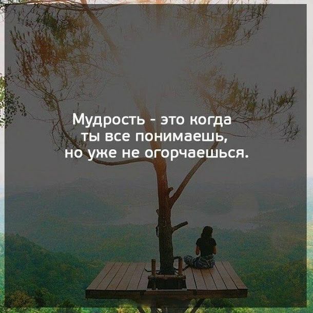 Мудрость это когда ты все понимаешь но уже не огорчаешься жМЮХИітж