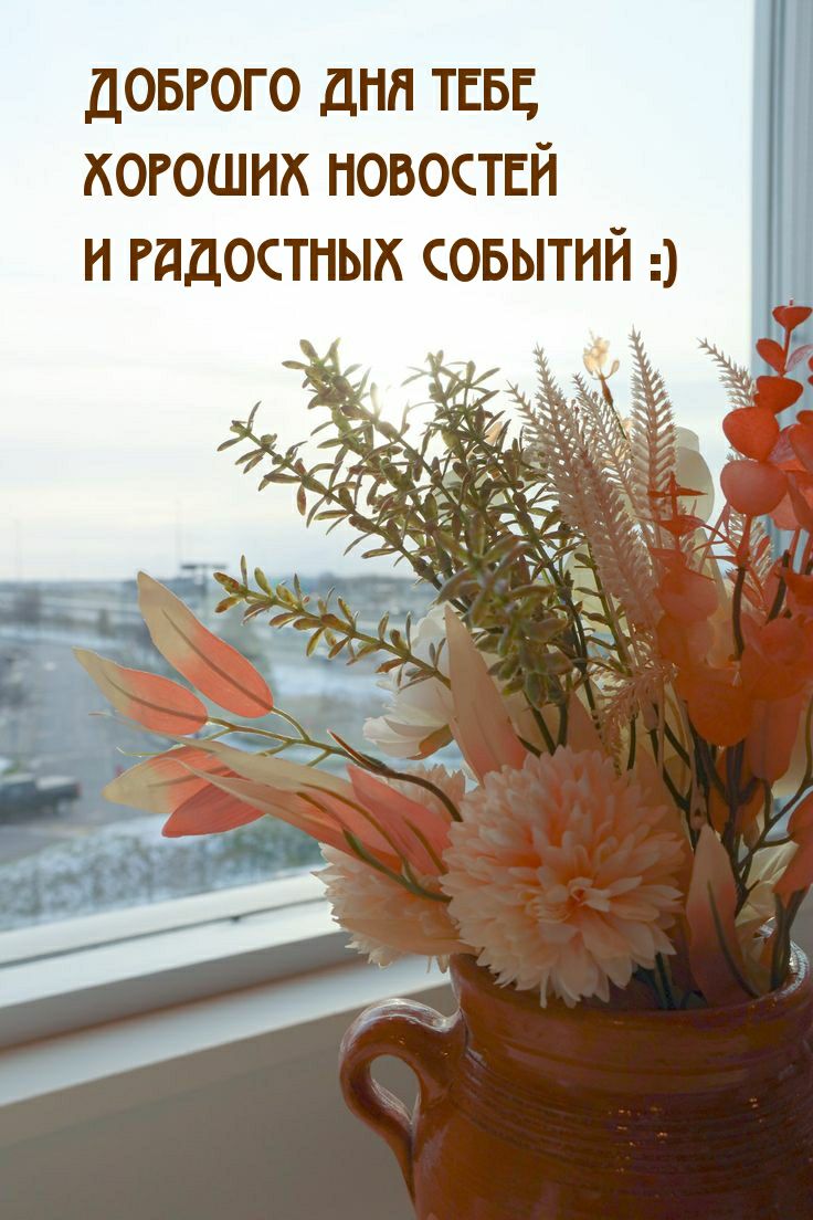 довгого дня твы когошик новостей и гддостных совытий