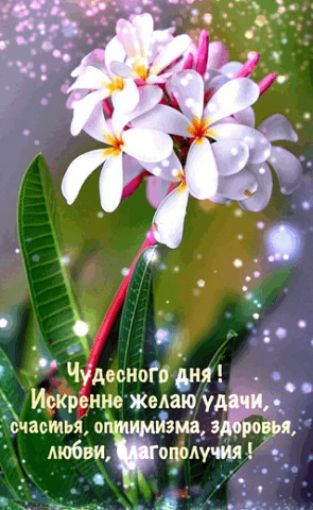 Чудеснотдня Ишреиие Желаю уд ш _ счастья имйэма здоровья _ любвиопаучия _