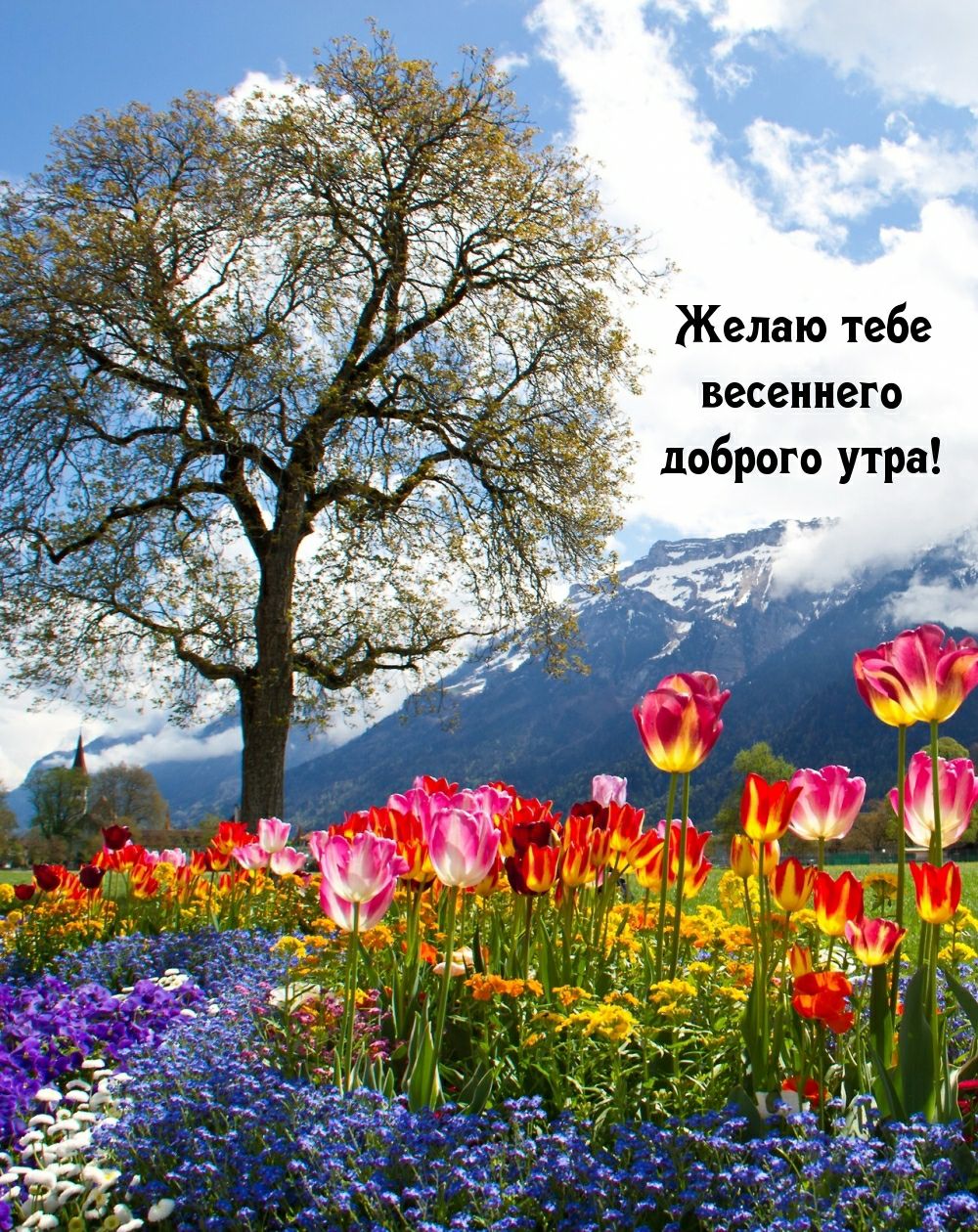 е 6 9 __ Ю 8 п 9 Ж ош ГТ ЗУ но ег со виш во д