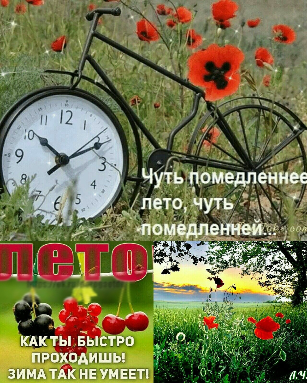 КАК ты Быстро проходишы зимд ТАК не умеет и лм