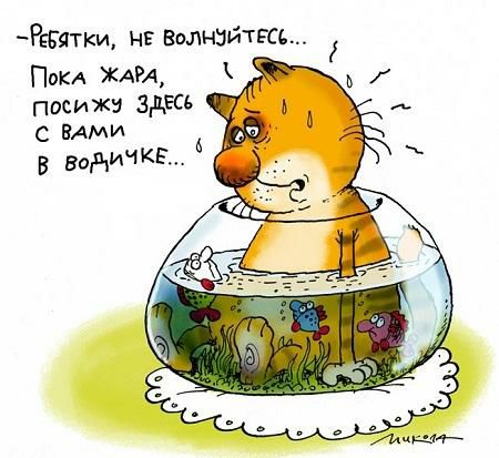 РЕБЯТи нв золнэитгсь ПОКА ЖАРА посижи зд с ВАМИ в водИЧКБ