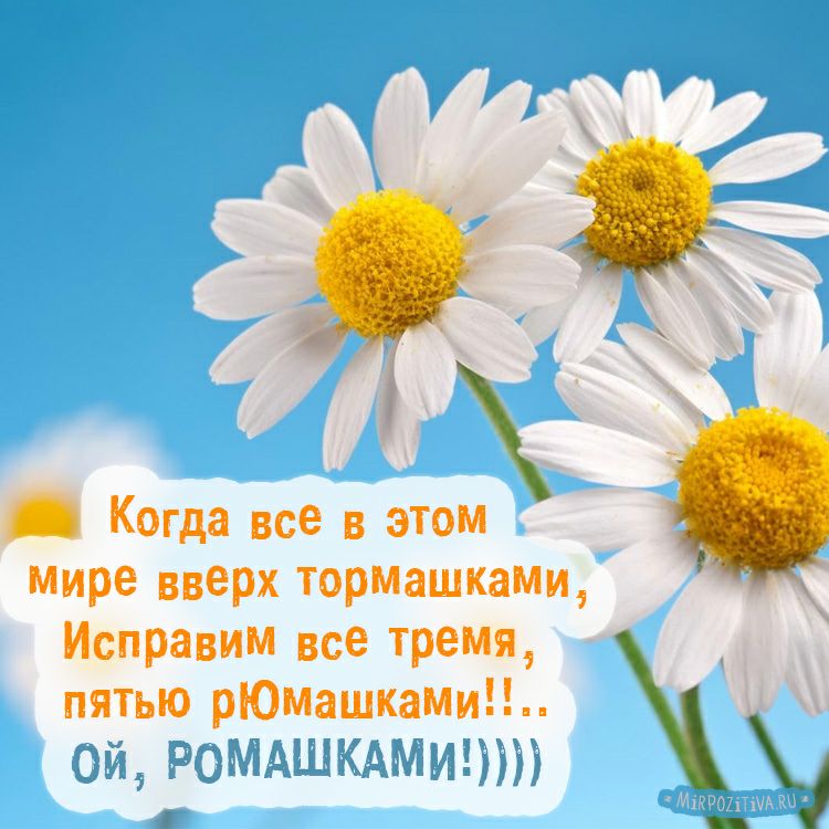 Когда все в этом Мире вверх торМашкамщ Испраним все тремя пятью рЮмашкаМи