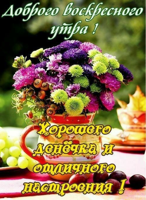 Дабого Иосёаного уЙа