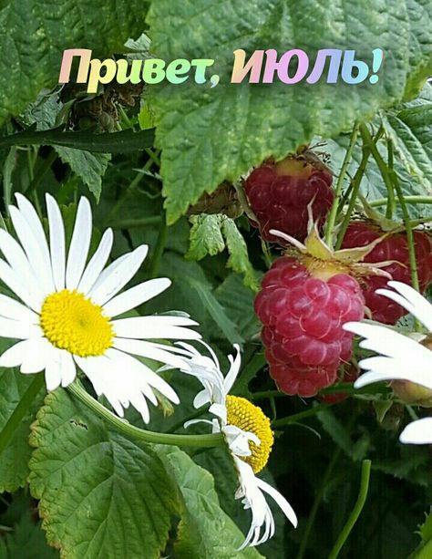 ч Прива ИЮЛЬ ЁЁ ЪЖ а