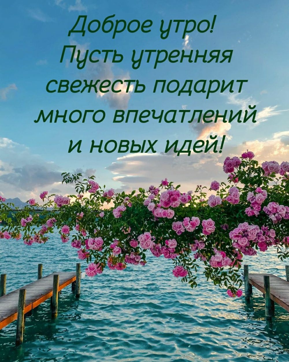 Доброе утро Пусть утренняя свежесть подарит много впечатлений и новых идей