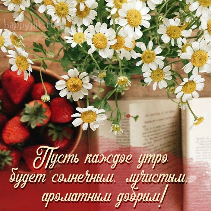 ДИИОТЕ _
