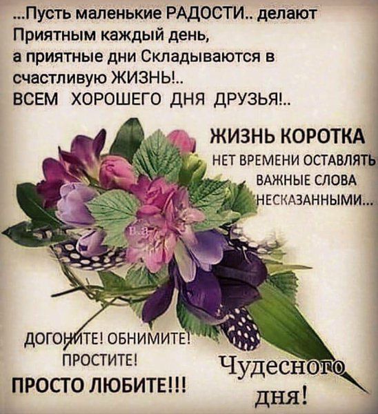 Пусть маленькие РАДОСТИ делают Приятным каждый день в приятные дни Складываются в счастливую ЖИЗНЬ ВСЕМ ХОРОШЕГО ДНЯ ДРУЗЬЯ ЖИЗНЬ КОРОТКА нетвгемвниостлвл вджнывслпвд ЕСКАЭАННЫМИ Чудтесно дня проститы ПРОСЮ ЛЮБИТЕ