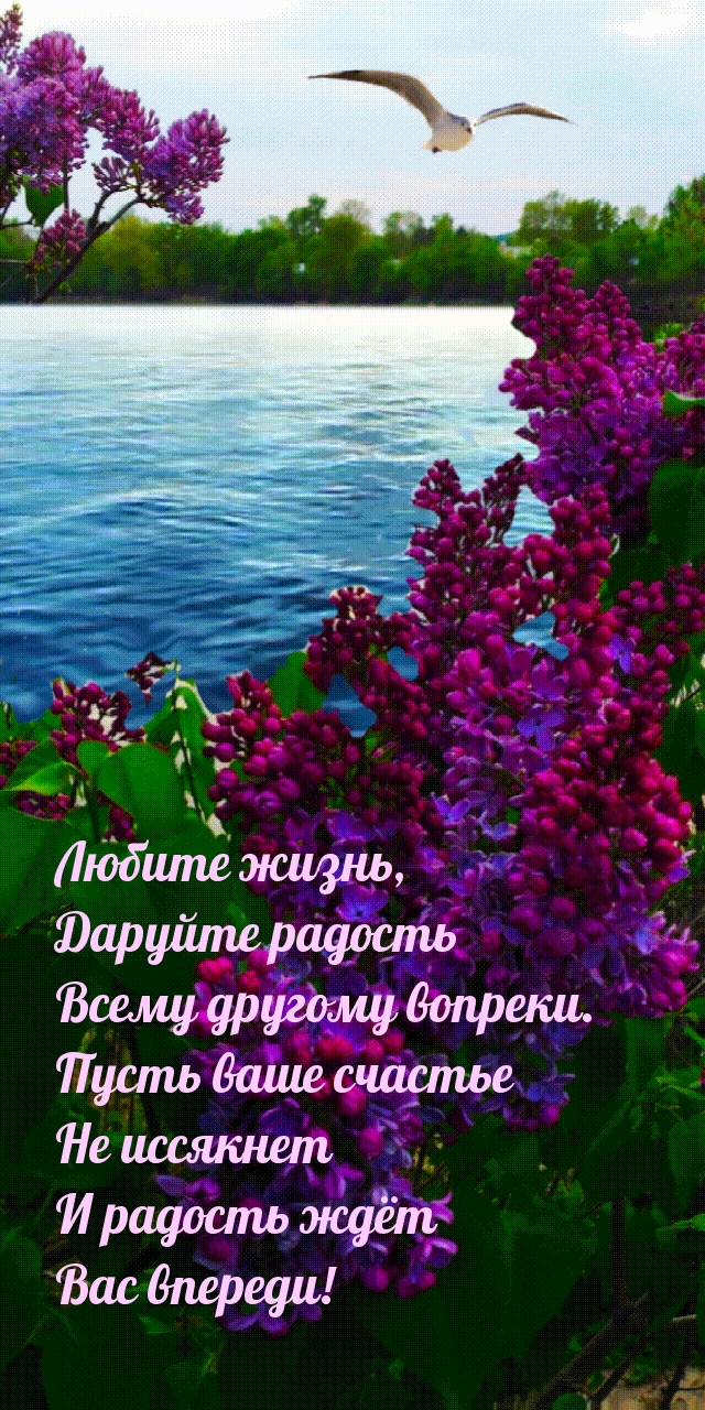 и