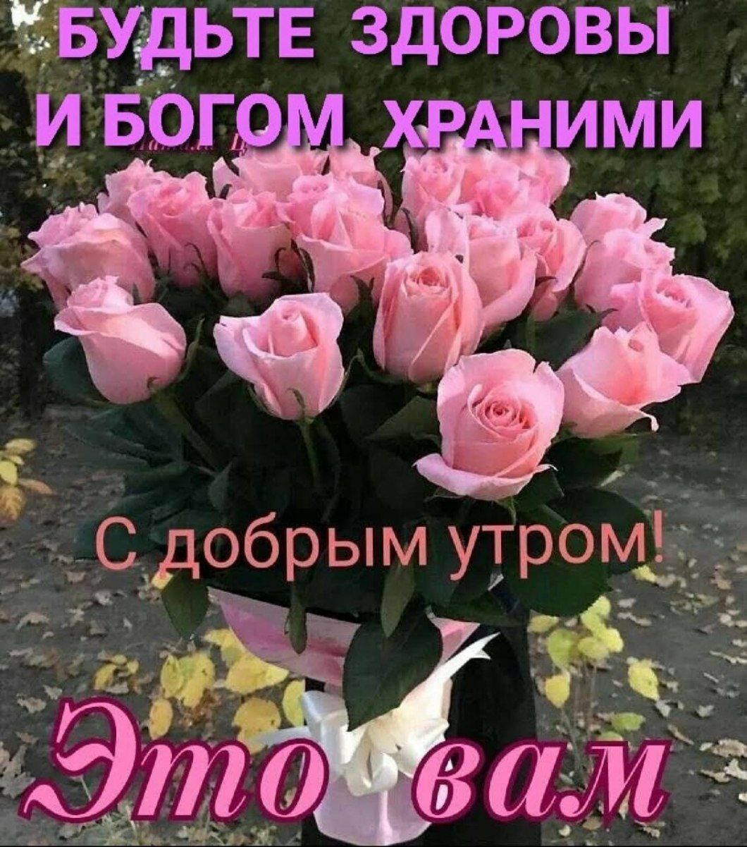 ЁБУдЬТЕ ЗДОРОВЫ _Т__Сддобрым уТр