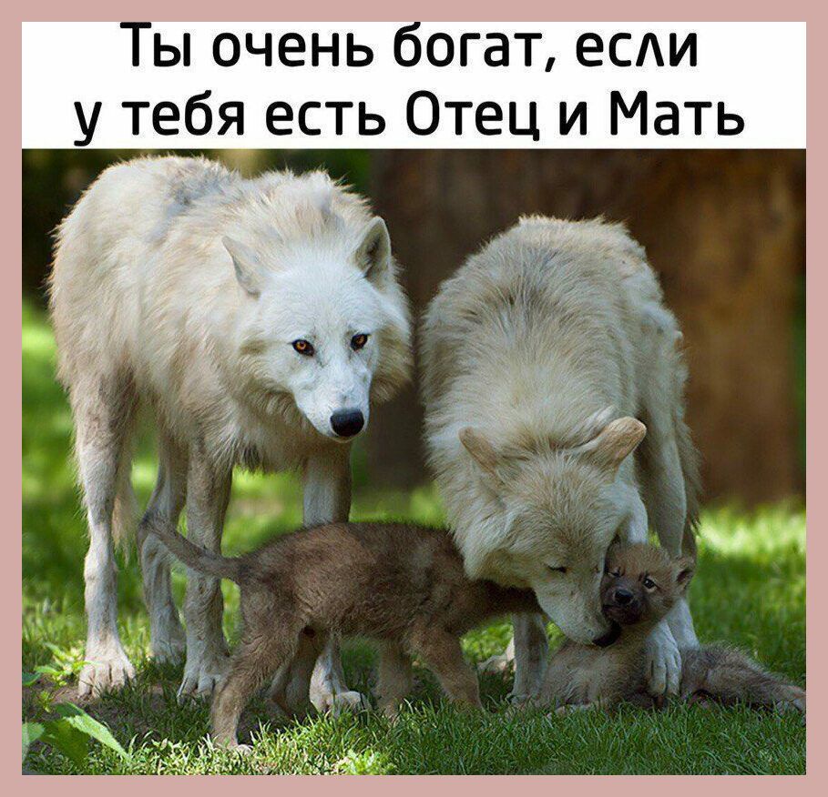 Ты очень богат ЕСАИ у тебя есть Отец и Мать