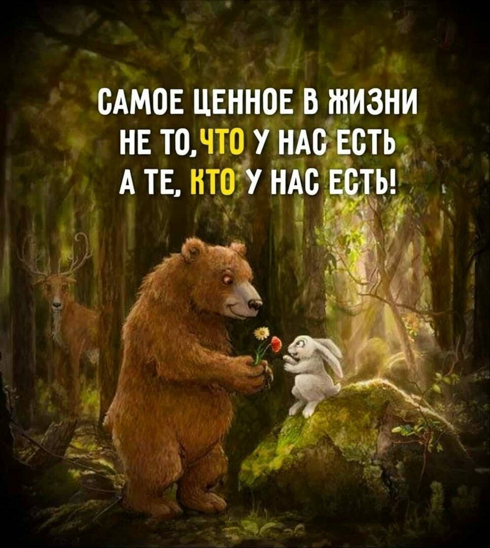 БАМОЕ цЕнноЕр жизни 9 НЕ то что Ёндн тьУ ТЕ1Т03151_г